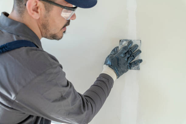 Best Drywall Crack Repair  in Muniz, TX